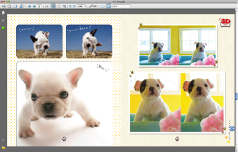 犬PDFスクリーンショット.png