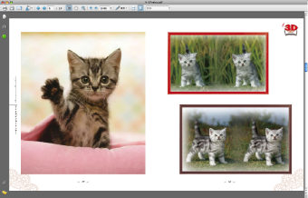 猫PDFスクリーンショット.png